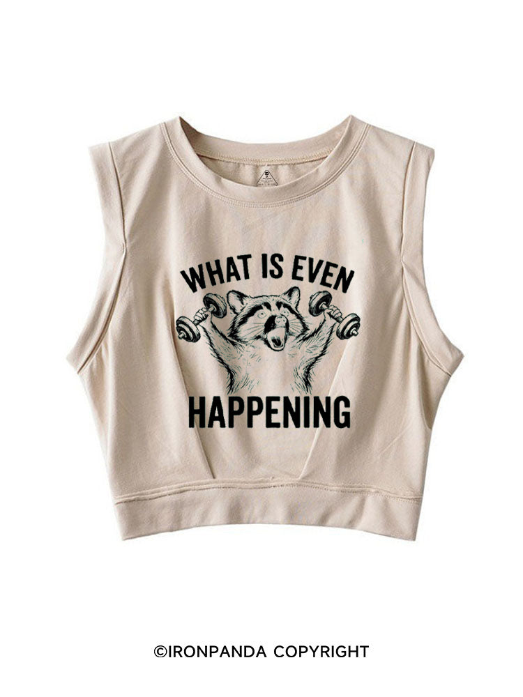 What Is Even Happening Raccoon SLEEVELESS CROP TOPS