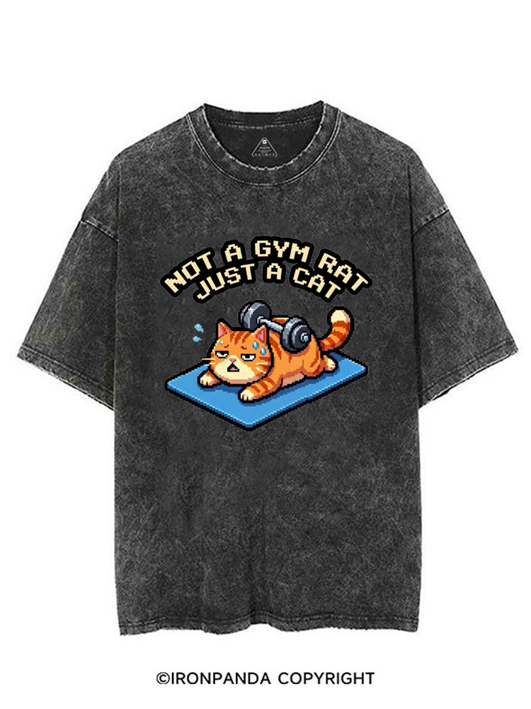 NOT A GYM RAT JUST A CAT VINTAGE GYM SHIRT