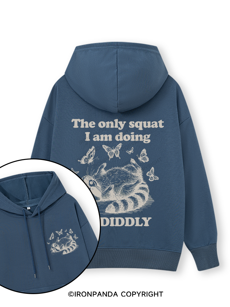 The Only Squat I’m Doing Is Diddly Double-Sided Printed Classic Gym Hoodie