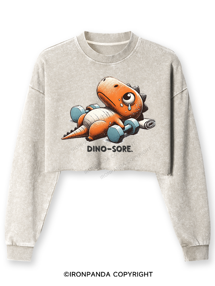 Dino-Sore After Workout Washed Long-Sleeve Crop Top