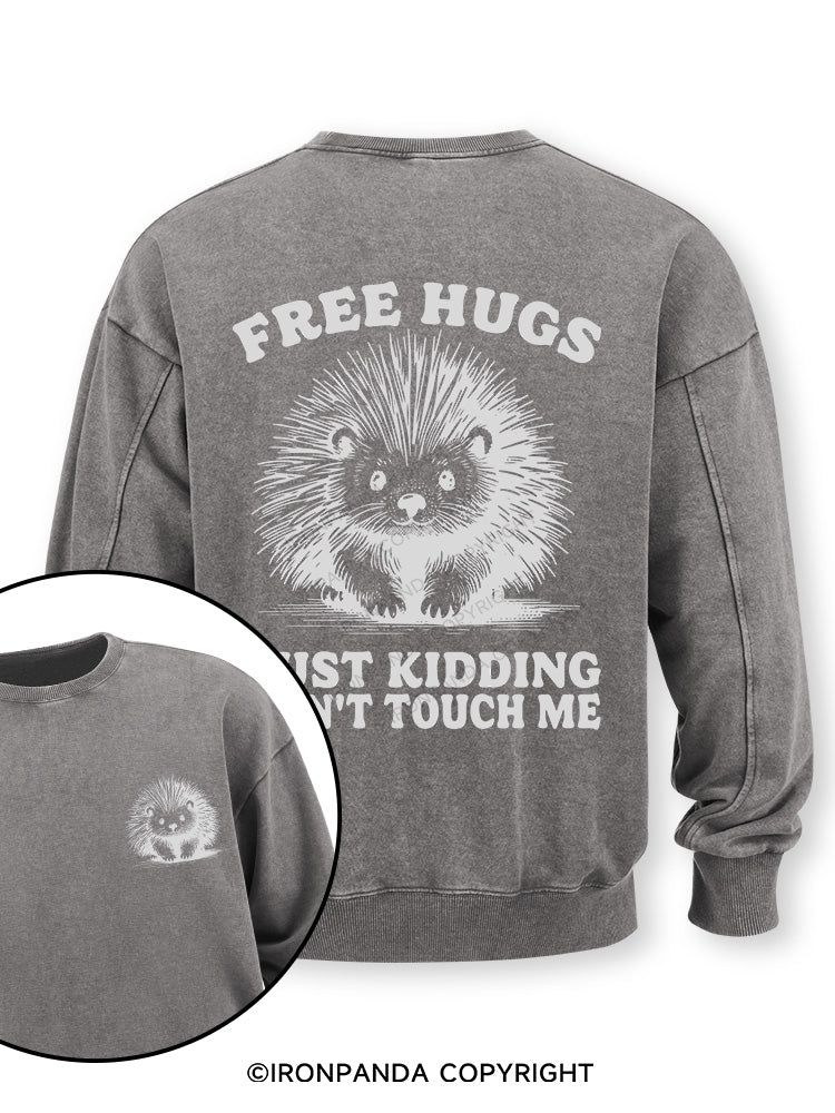 Free Hugs Just Kidding Don't Touch Me Lion Double-Sided Printed Washed Sweatshirt