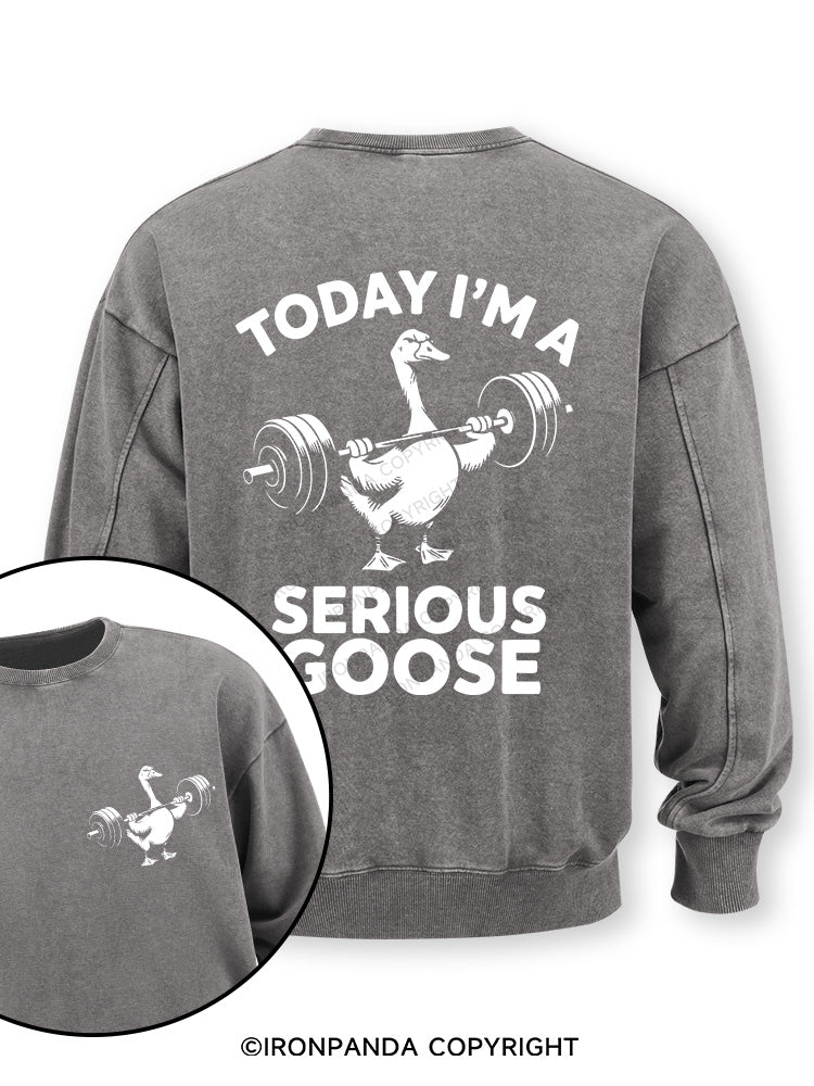 Today i'm a serious goose new Double-Sided Printed Washed Sweatshirt