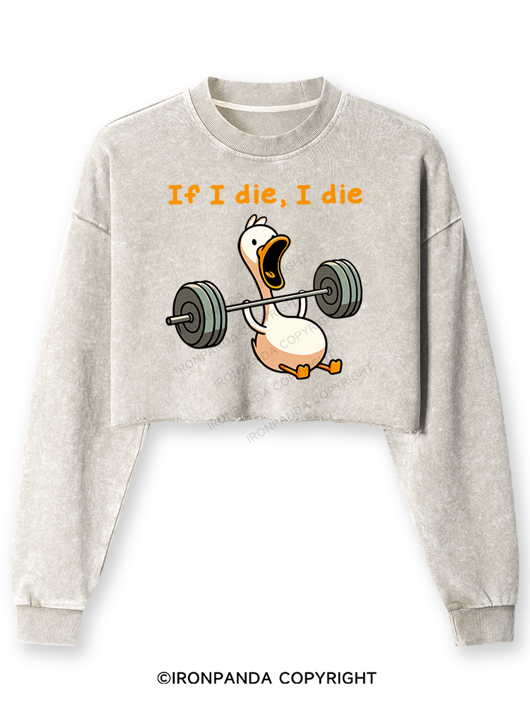 IF I DIE I DIE Washed Long-Sleeve Crop Top