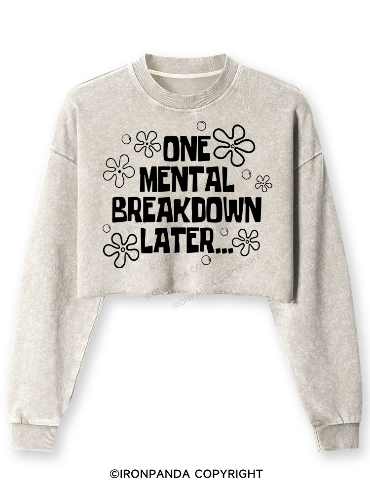 ONE MENTAL BREAKDOWN LATER Washed Long-Sleeve Crop Top