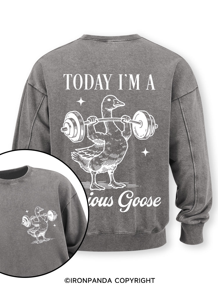 TODAY I'M A Serious Goose Double-Sided Printed Washed Sweatshirt