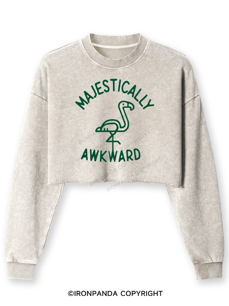 Majestically Awkward Washed Long-Sleeve Crop Top