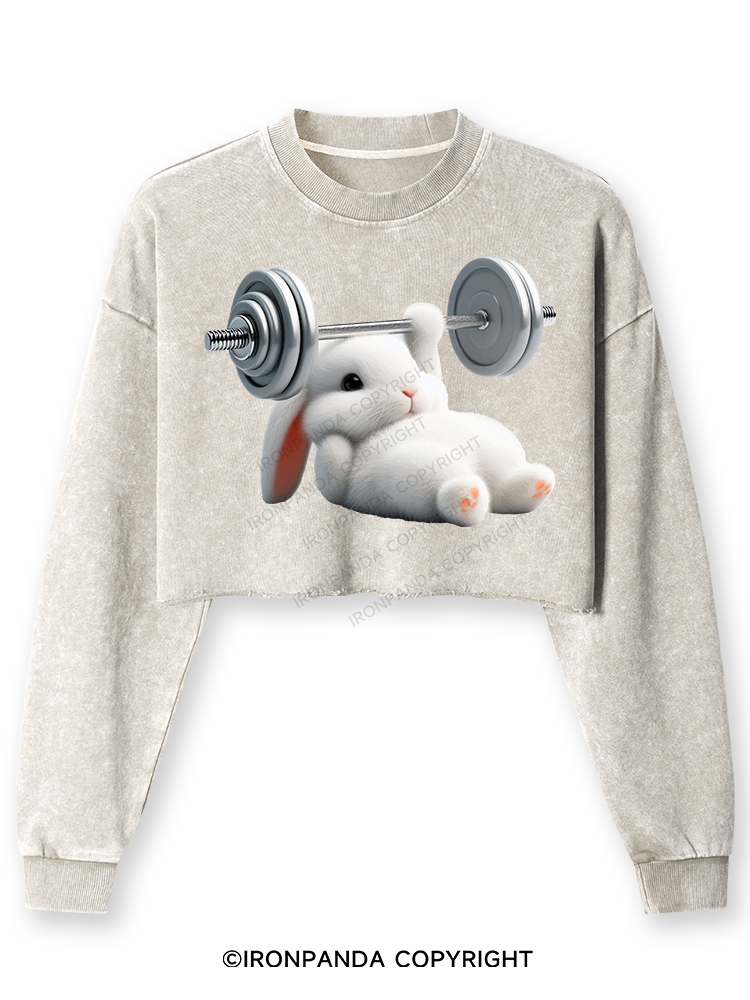 RABBIT ONE-ARM BENCH PRESS Washed Long-Sleeve Crop Top