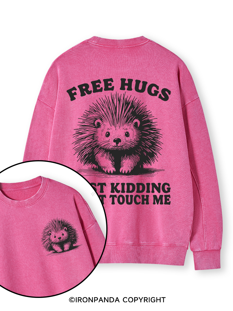 Free Hugs Just Kidding Don't Touch Me Lion Double-Sided Printed Washed Sweatshirt