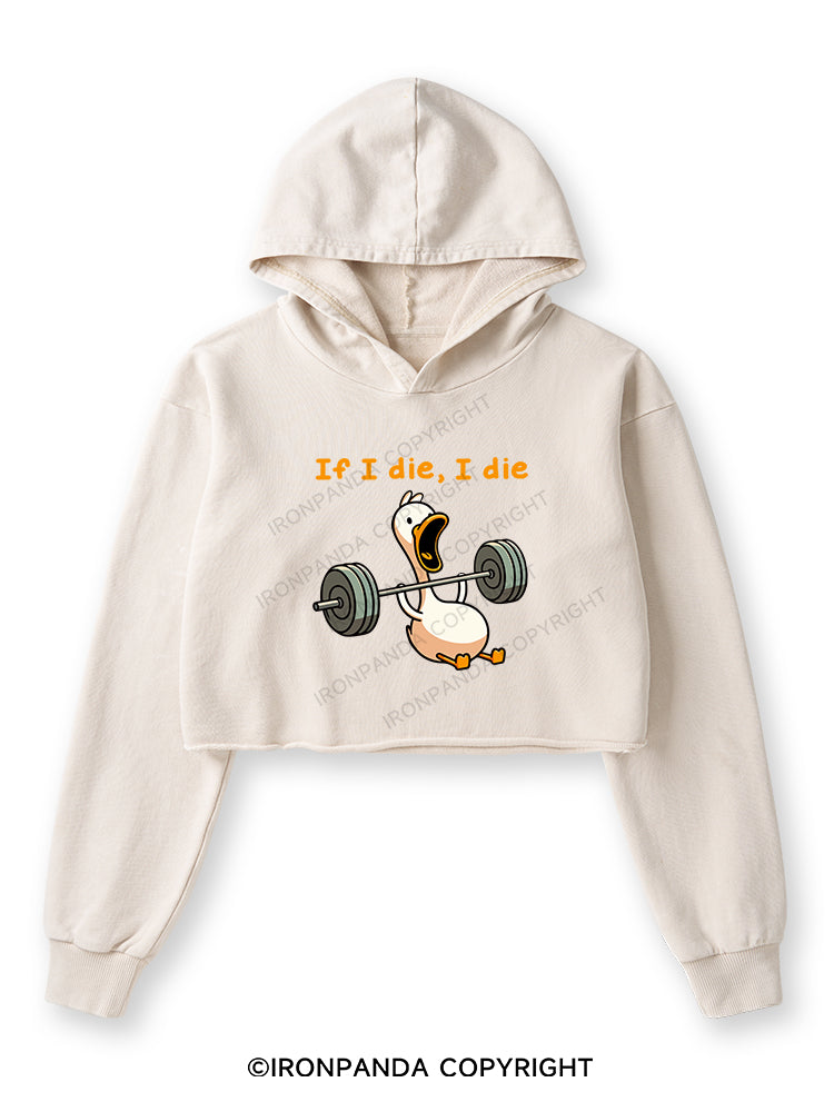 IF I DIE I DIE Washed Crop Hoodie