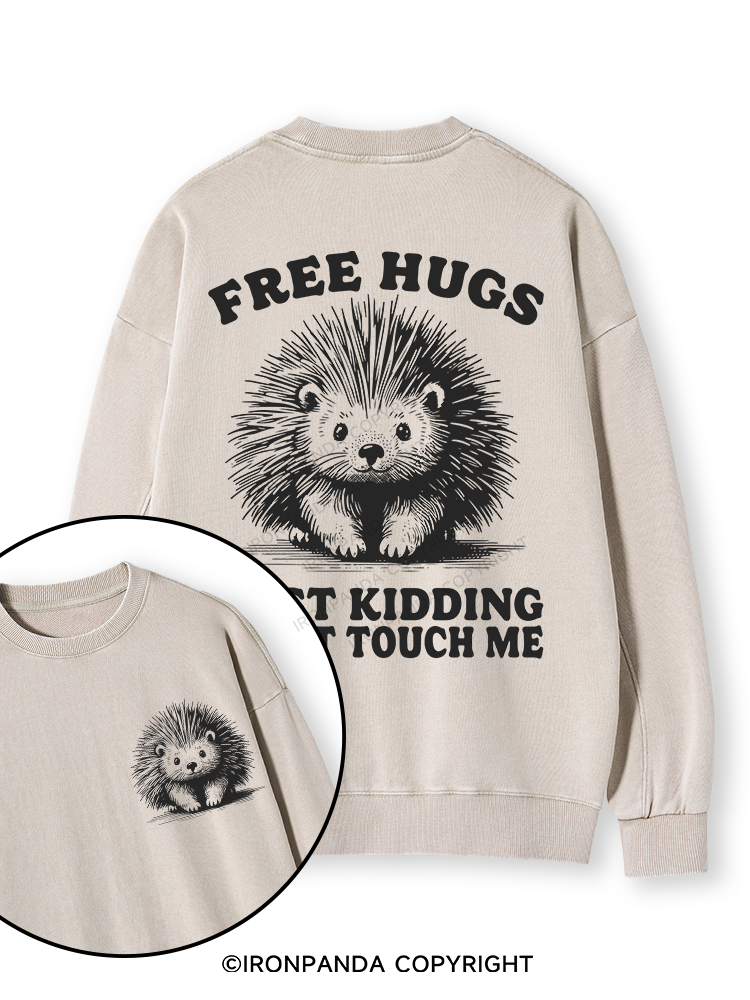 Free Hugs Just Kidding Don't Touch Me Lion Double-Sided Printed Washed Sweatshirt