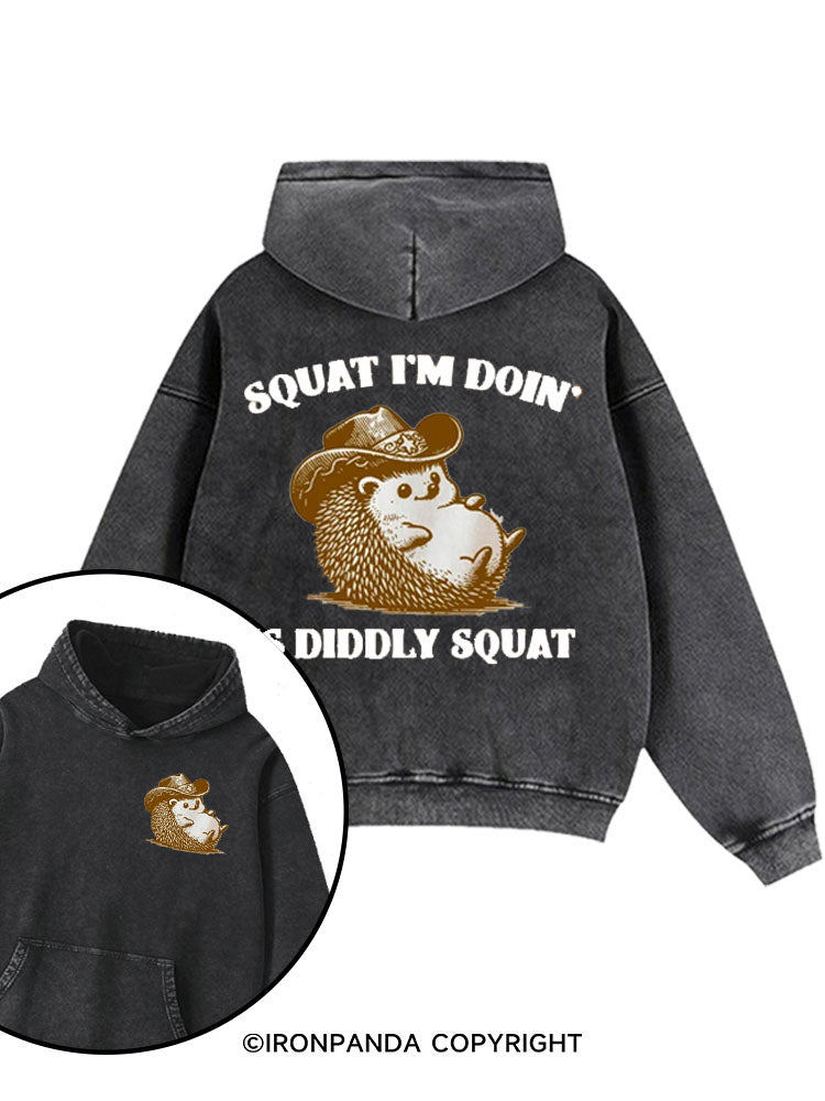 The Only Squat I'm Doing Is Diddly Washed Gym Hoodie