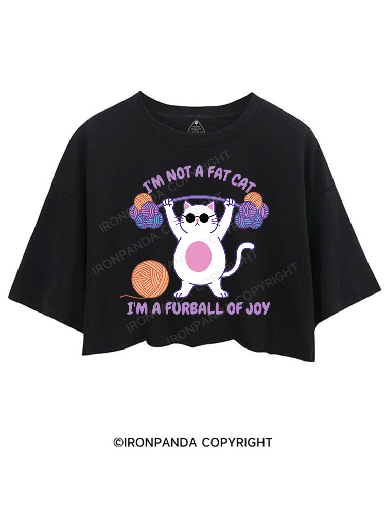 I'm not a fat cat, I'm a furball of joy CROP TOPS