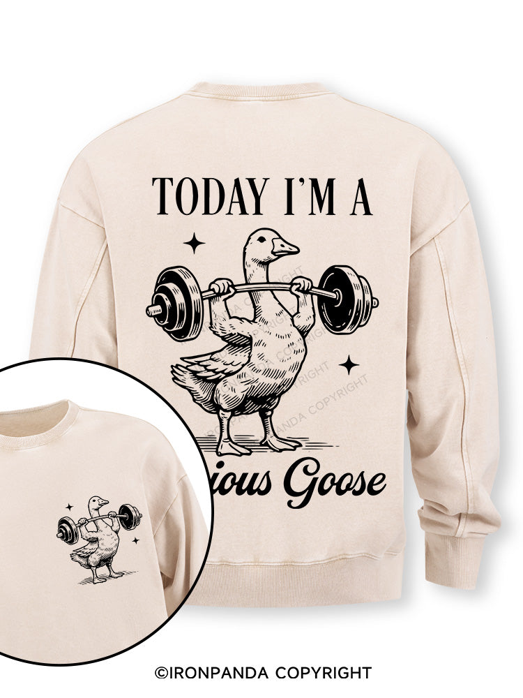 TODAY I'M A Serious Goose Double-Sided Printed Washed Sweatshirt