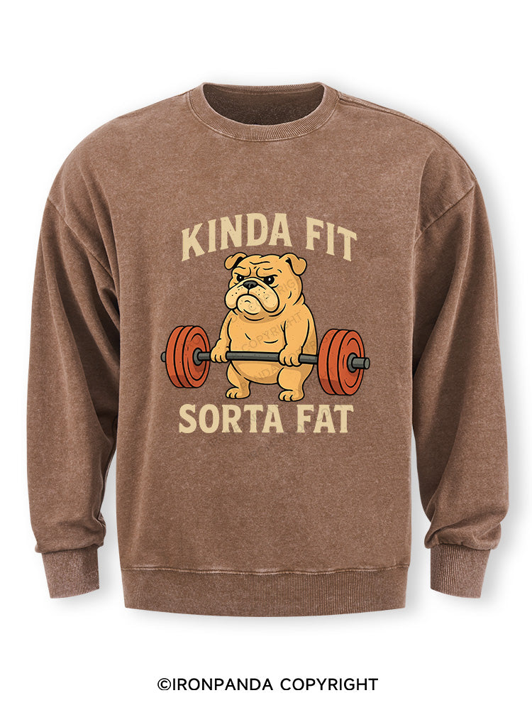 Kinda Fit Sorta Fat Dog New Washed Sweatshirt