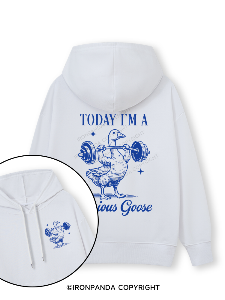 TODAY I'M A Serious Goose Double-Sided Printed Classic Gym Hoodie