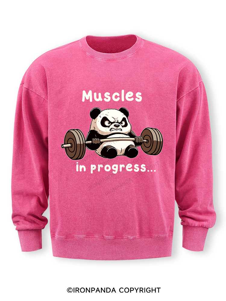 muscles in progress Washed Sweatshirt