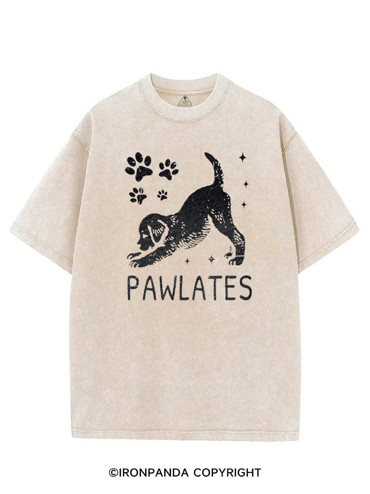 PAWLATES FUNNY DOG VINTAGE GYM SHIRT