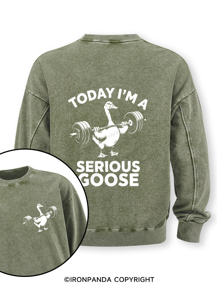 Today i'm a serious goose new Double-Sided Printed Washed Sweatshirt
