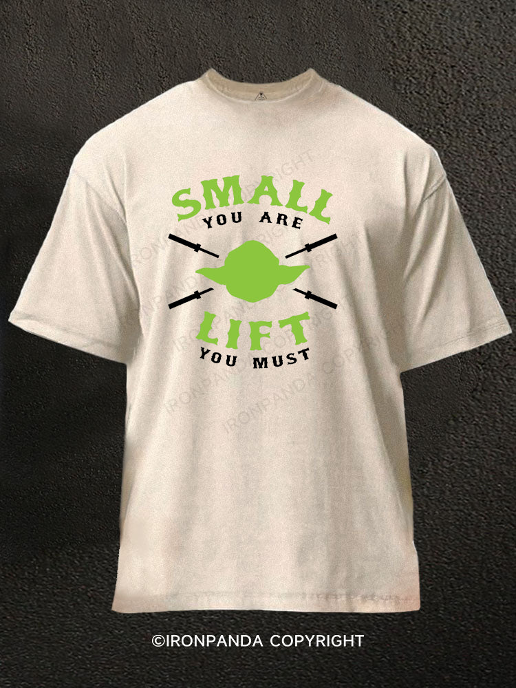 Small You Are Lift You Must Washed Gym Shirt