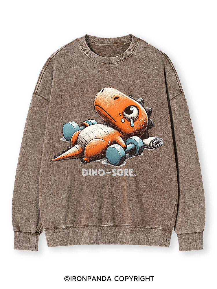 DINO-SORE AFTER WORKOUT Washed Sweatshirt