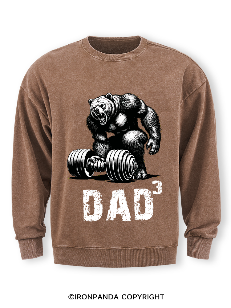 Dad Bear Washed Sweatshirt
