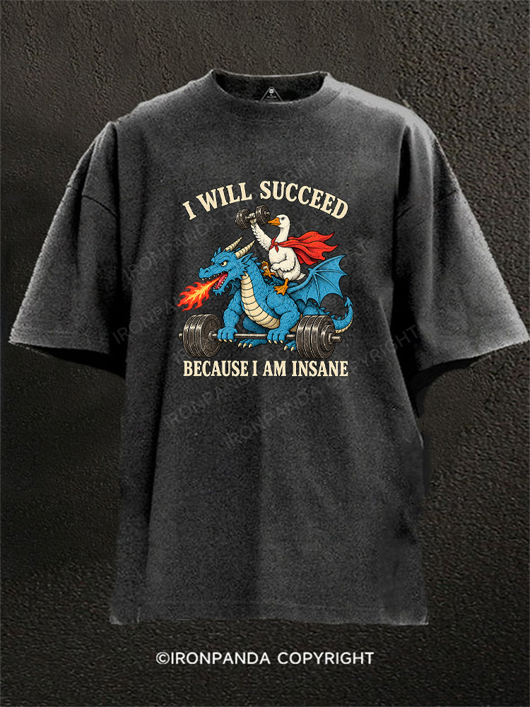I WILL SUCCEED BECAUSE I AM INSANE FUNNY GOOSE DRAGON Washed Gym Shirt