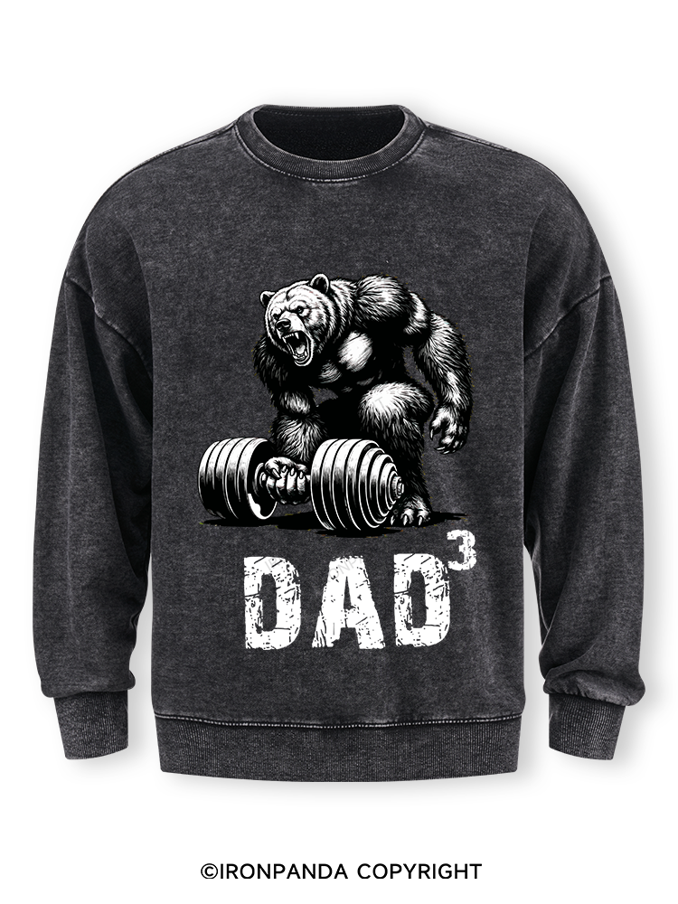 Dad Bear Washed Sweatshirt