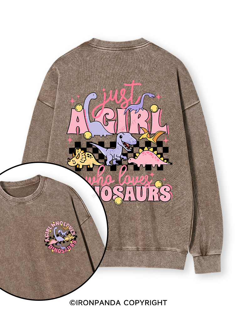 Just A Girl Who Loves Dinosaurs Double-Sided Printed Washed Sweatshirt