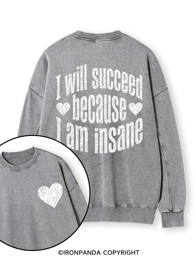 I WILL SUCCEED BECAUSE I AM INSANE Double-Sided Printed Washed Sweatshirt