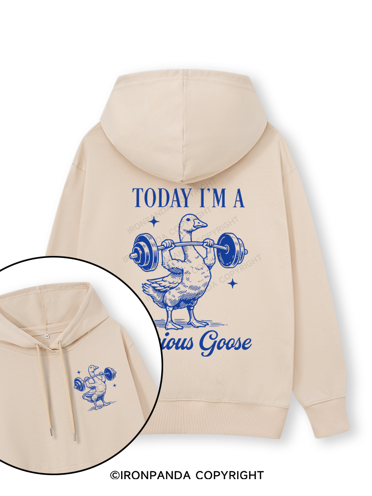 TODAY I'M A Serious Goose Double-Sided Printed Classic Gym Hoodie