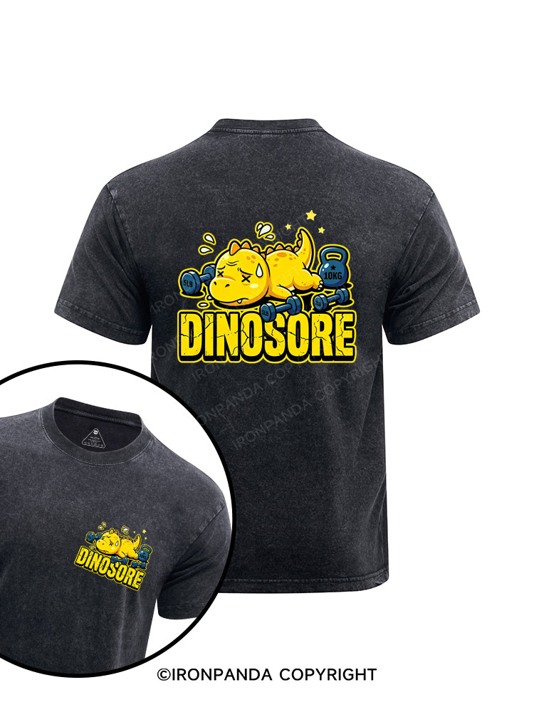 Funny Dinosaur Gym Workout Printed Washed Gym Shirt