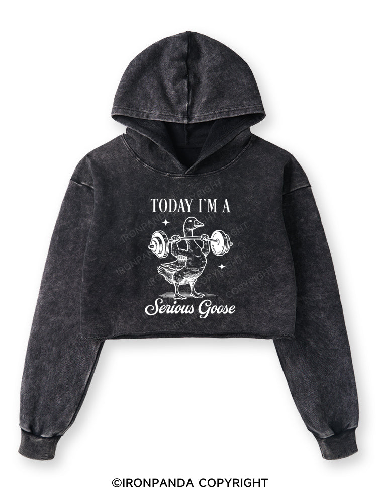 TODAY I'M A Serious Goose Washed Crop Hoodie
