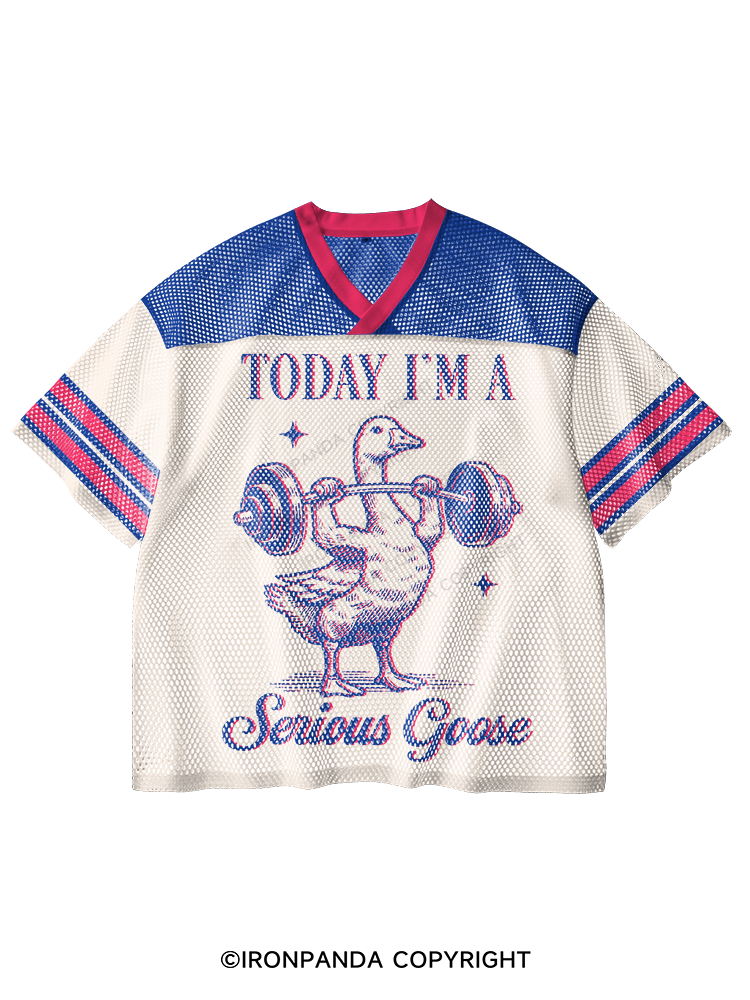 TODAY I'M A Serious Goose V-Neck Open Hole Mesh Top
