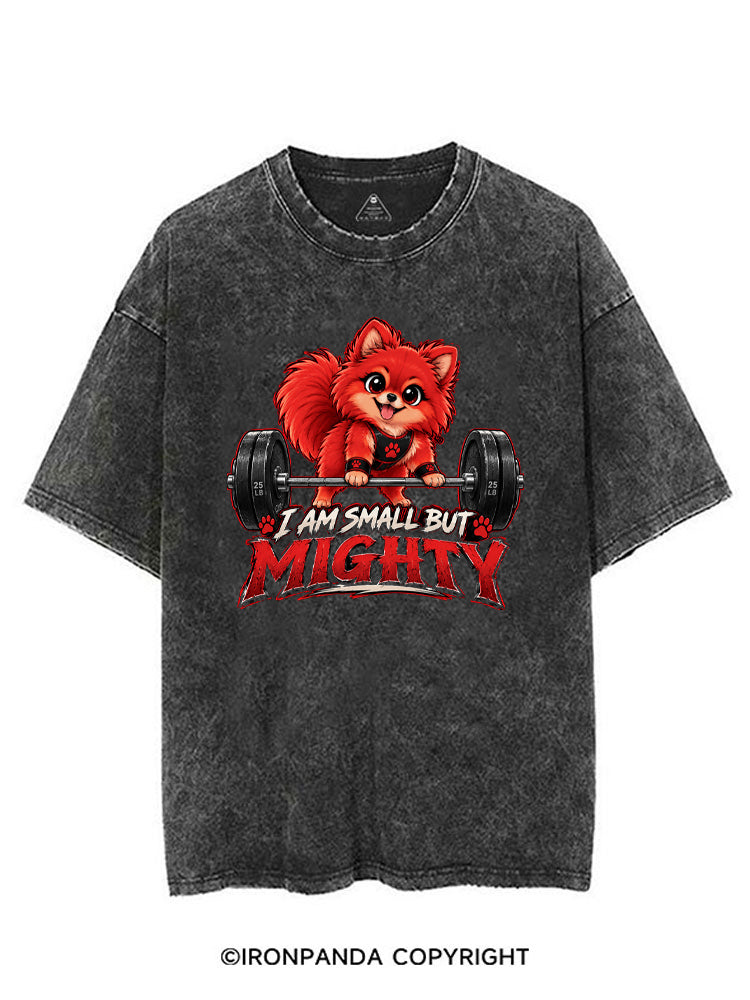 I AM SMALL BUT MIGHTY VINTAGE GYM SHIRT