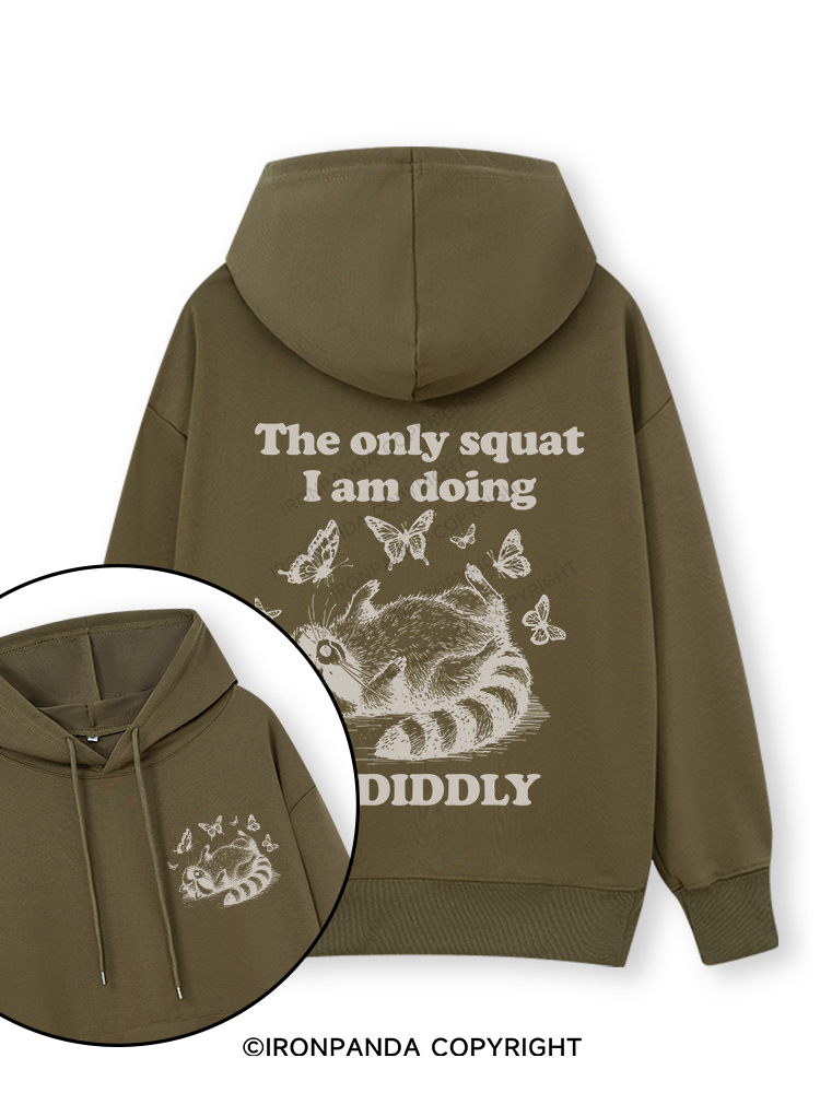 The Only Squat I’m Doing Is Diddly Double-Sided Printed Classic Gym Hoodie