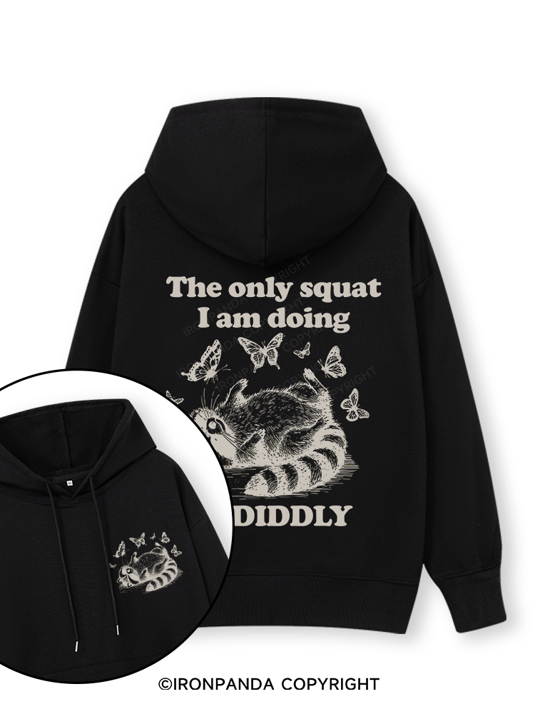 The Only Squat I’m Doing Is Diddly Double-Sided Printed Classic Gym Hoodie