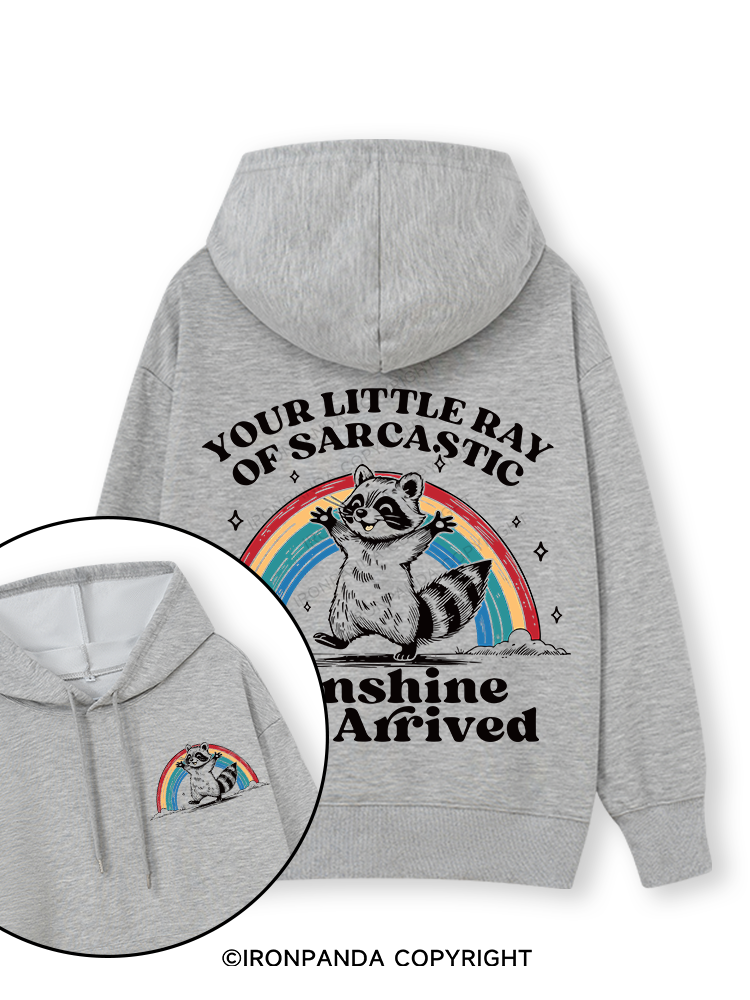 YOUR LITTLE RAY OF SARCASTIC SUNSHINE HAS ARRIVED Double-Sided Printed Classic Gym Hoodie