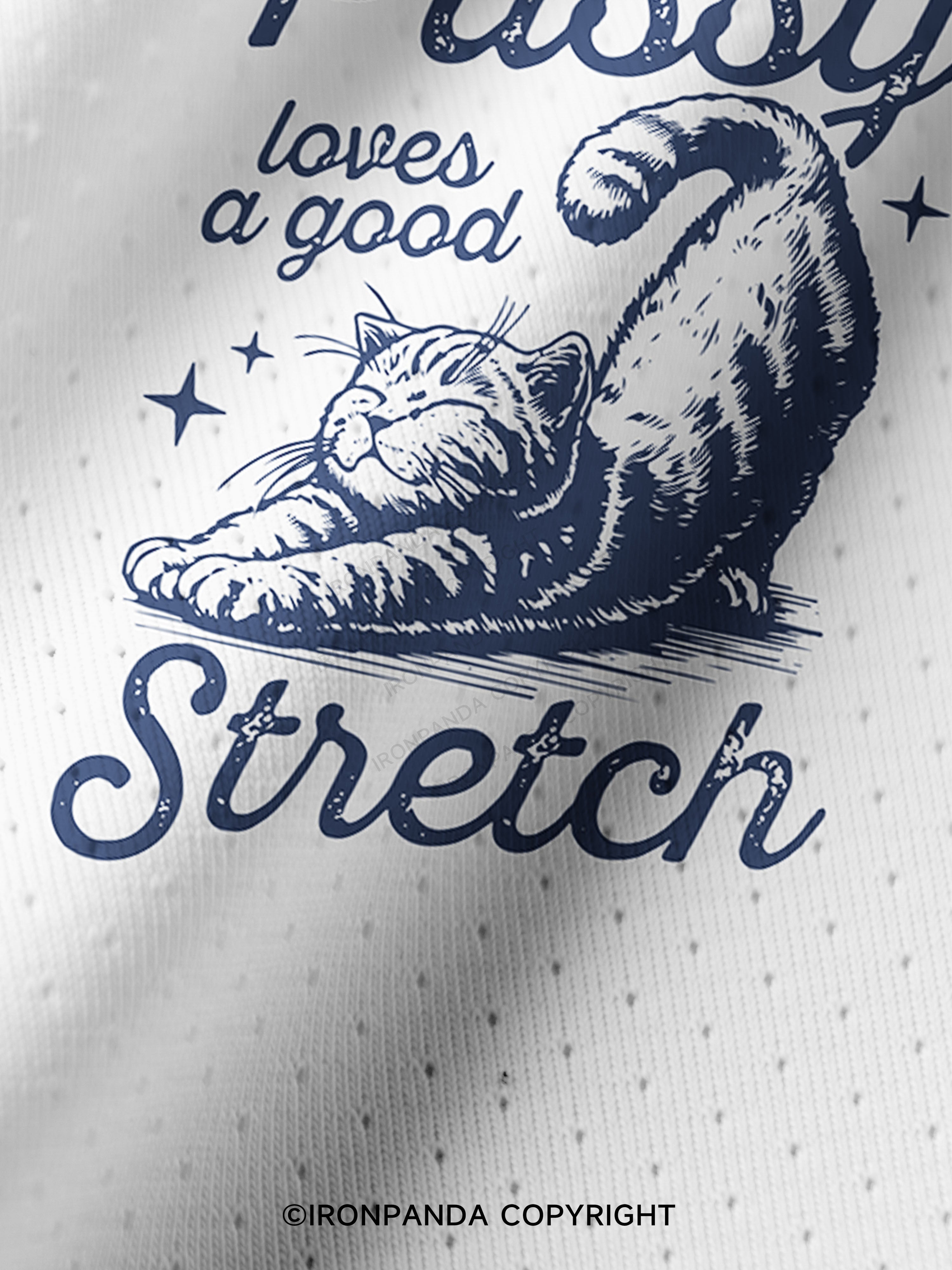 My Pussy Loves a Good Stretch Pro Mesh Jersey