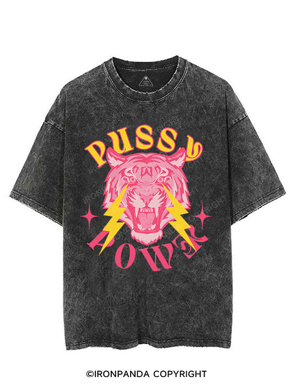 PUSSY POWER VINTAGE GYM SHIRT