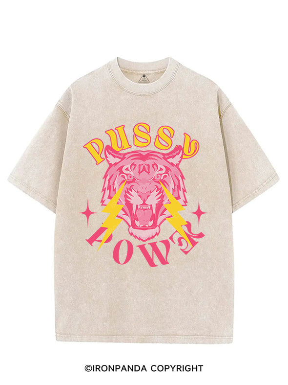PUSSY POWER VINTAGE GYM SHIRT