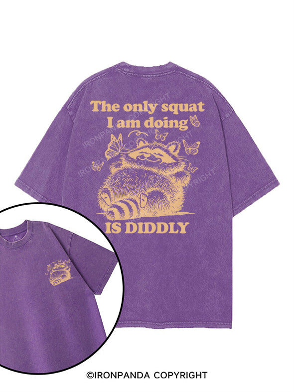 The Only Squat I’m Doing Is Diddly printed Gym Shirt