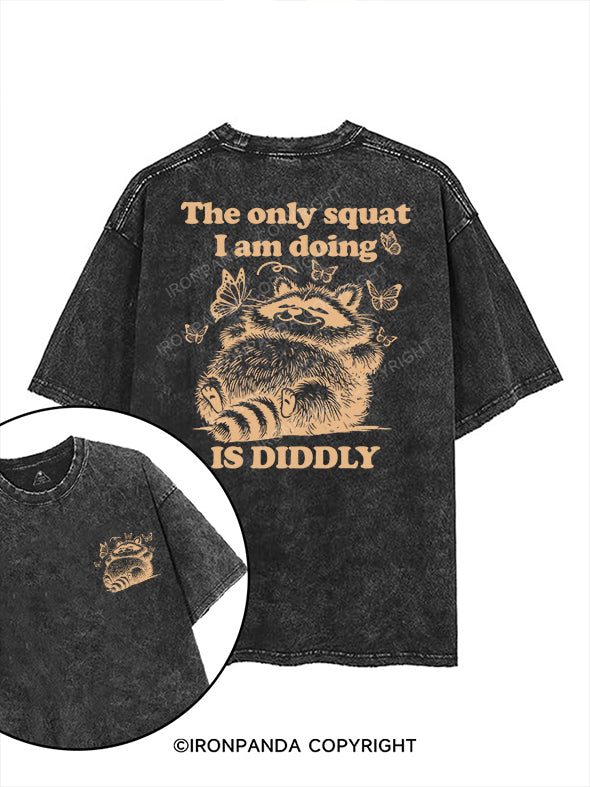 The Only Squat I’m Doing Is Diddly printed Gym Shirt