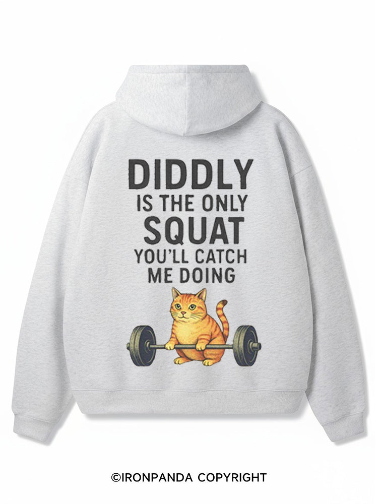 DIDDLY IS THE ONLY SQUAT YOU’LL CATCH ME DOING Premium Fleece Gym Hoodie