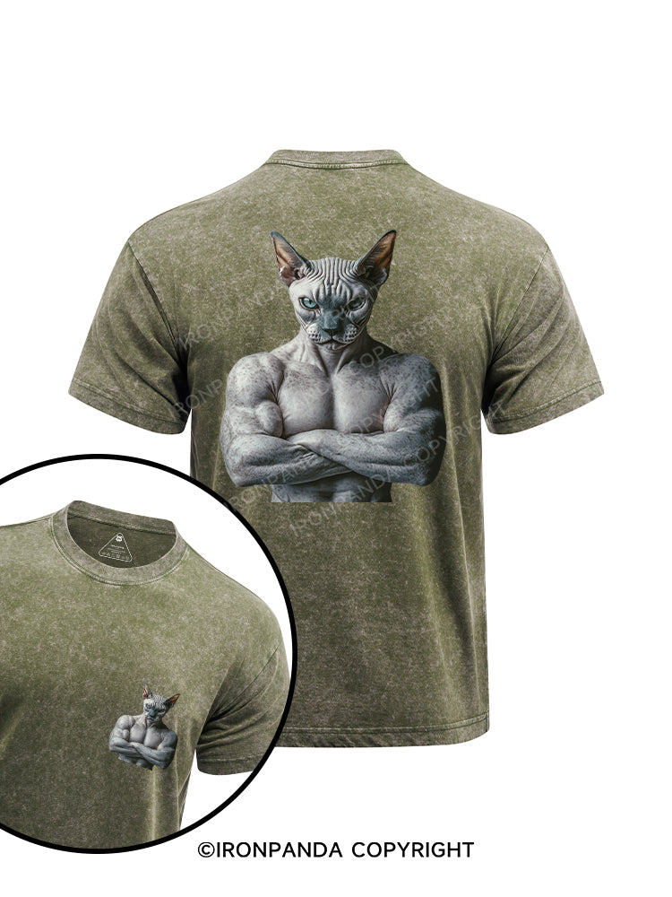 Muscle Sphynx printed Washed Gym Shirt