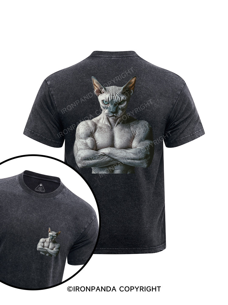 Muscle Sphynx printed Washed Gym Shirt
