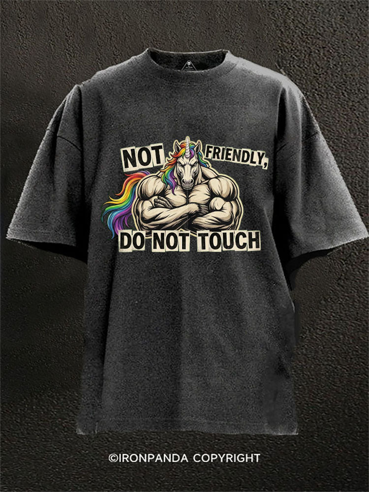 Not Friendly Do Not Touch Muscle Horse Washed Gym Shirt