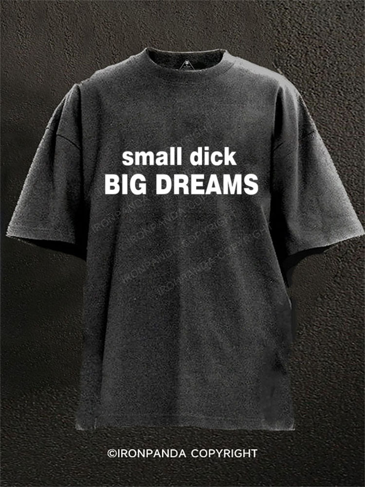 Small dick, big dreams Washed Gym Shirt