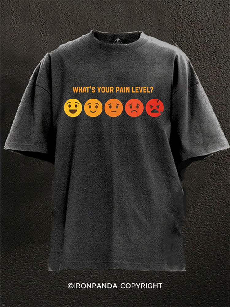 WHAT'S YOUR PAIN LEVEL? Washed Gym Shirt