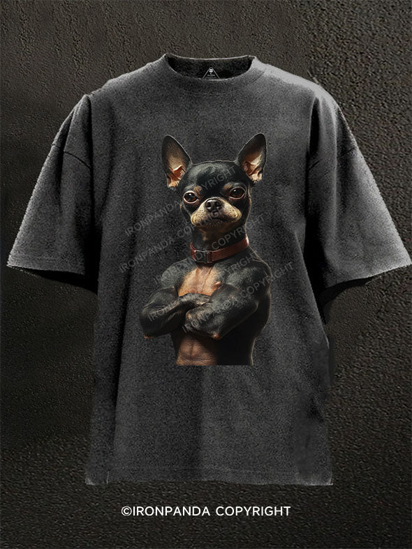 Muscular Chihuahua Washed Gym Shirt