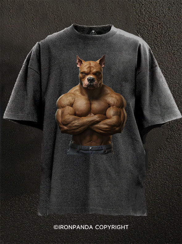 Muscular Pit Bull Washed Gym Shirt